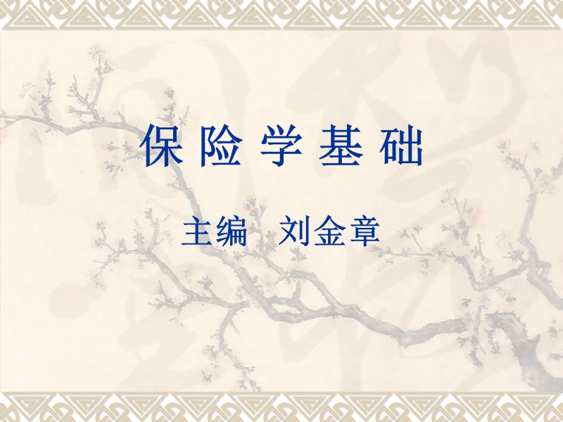 保险公司风险与管理.ppt_第1页