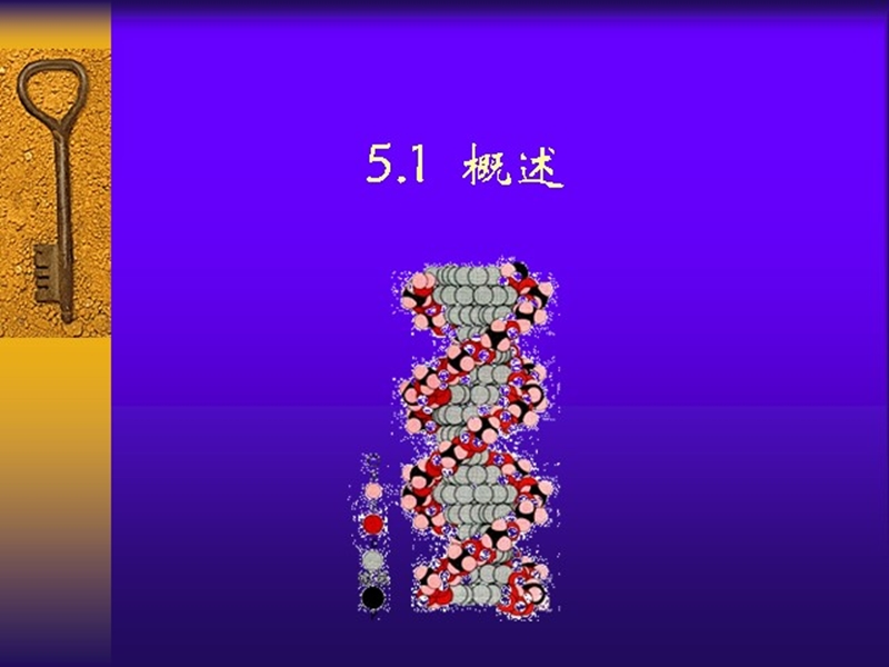 核酸在食品加工中的应用.ppt_第2页