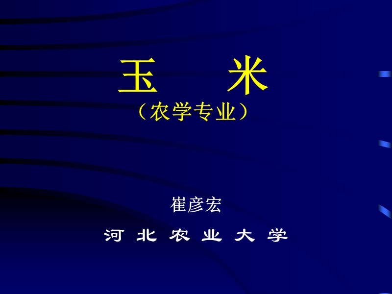 玉米(农学专业).ppt_第1页