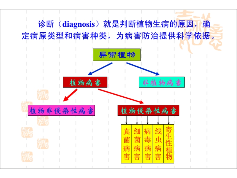 植物病原物的分类和鉴定.ppt_第1页