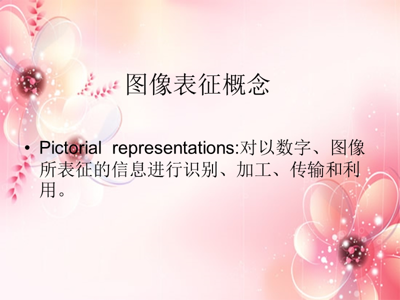 图像表征.ppt_第2页