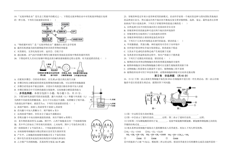 2018年江苏省盐城中学高三模拟考试生物试题（2018.3).doc_第3页