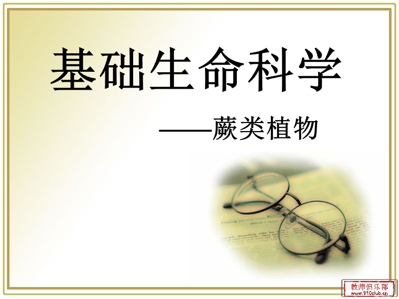 蕨类植物.ppt_第1页