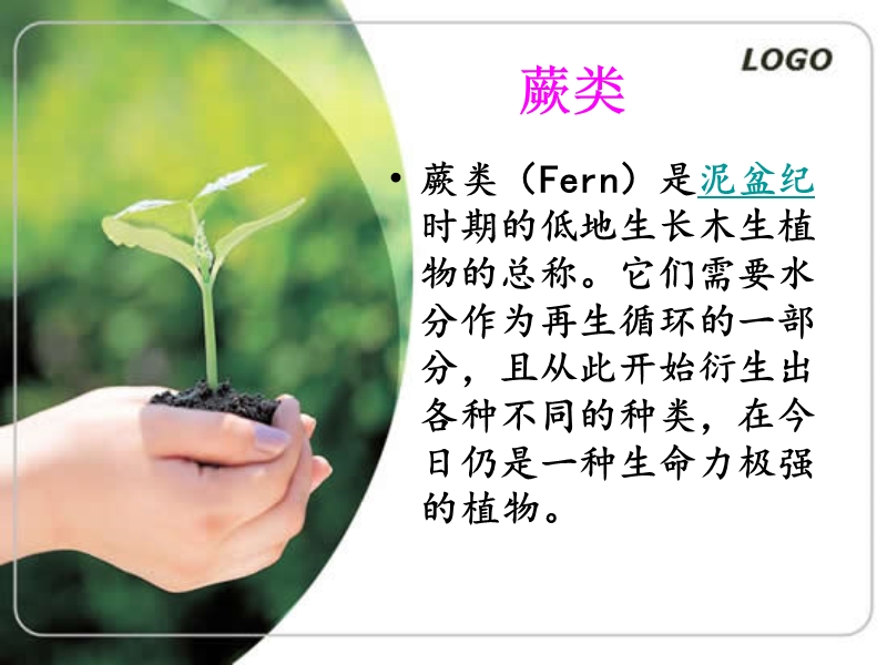 蕨类植物.ppt_第2页