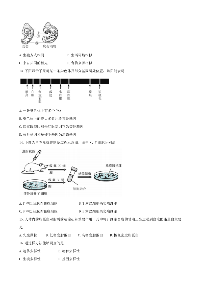 2018年上海市虹口区高三二模生物试题（word版）.doc_第3页