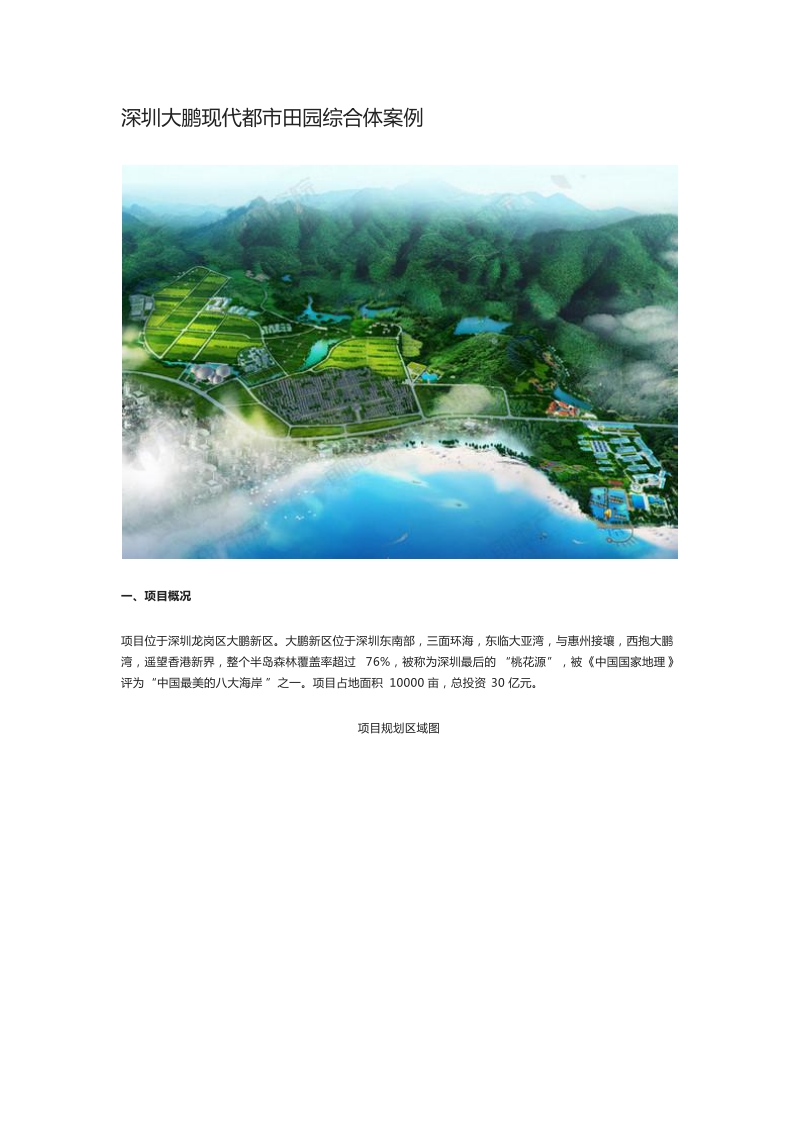 深圳大鹏现代都市田园综合体案例.docx_第1页