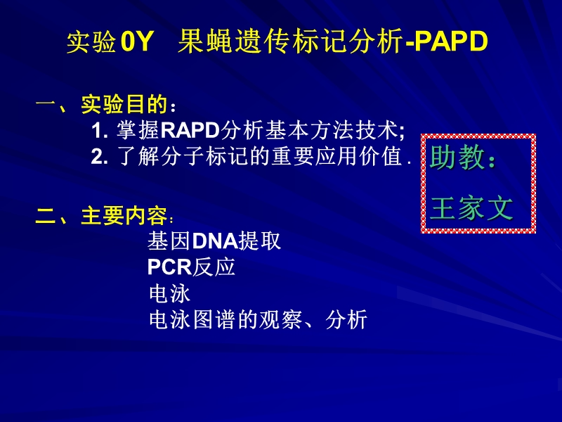 0Y_果蝇与其他物种遗传标记比较分析-RAPD  091029.ppt_第1页