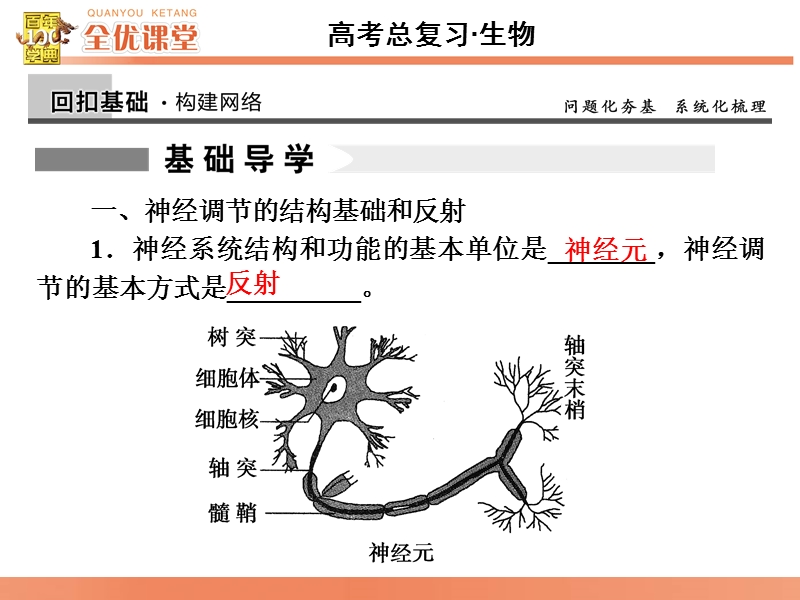 全优课堂·2016高考生物一轮配套课件：8.27通过神经系统的调节.ppt_第3页