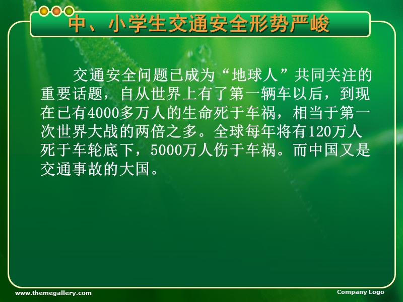 保护生命安全出行.ppt_第2页