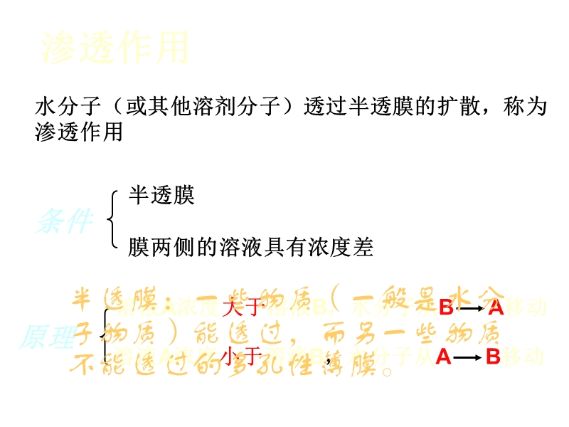 高一生物物质跨膜运输的实例2.ppt_第3页