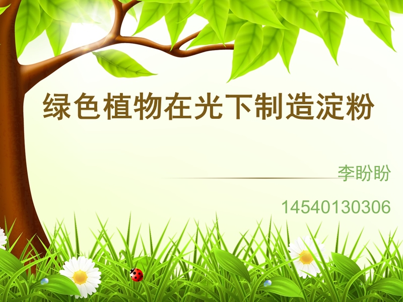 绿色植物在光下制造淀粉 李盼盼.ppt_第1页