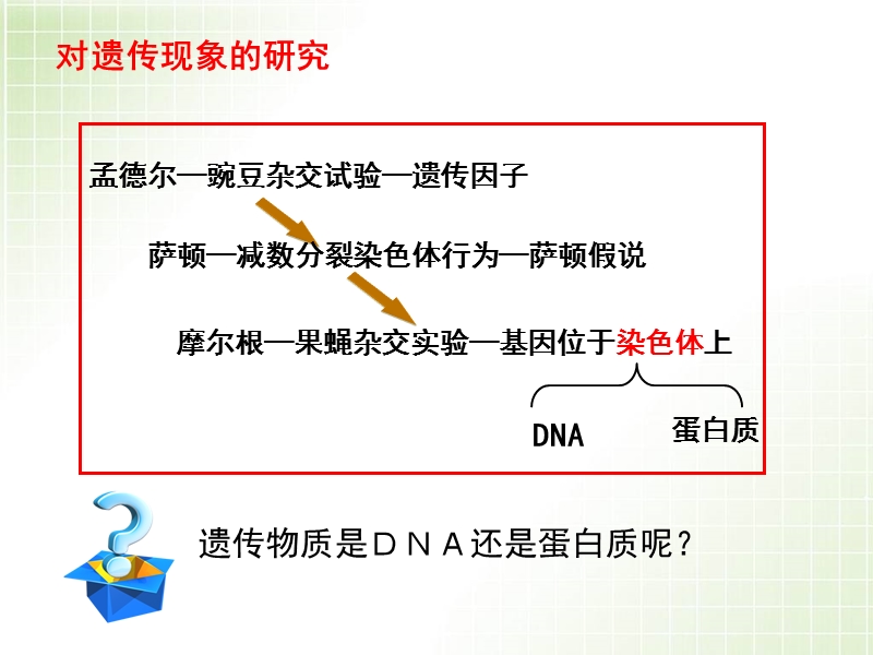 3.1DNA是主要的遗传物质.ppt_第3页