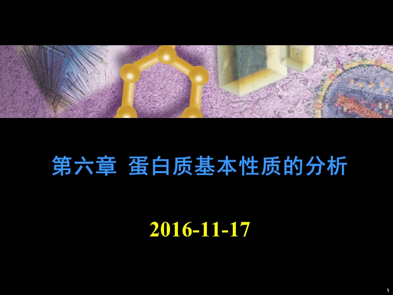 第六章 蛋白质基本性质的分析2016秋.ppt_第1页