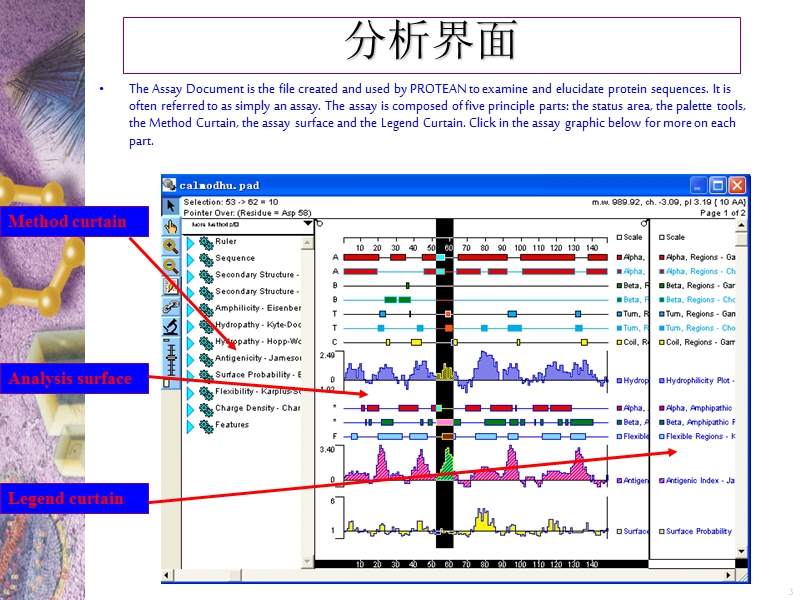 第六章 蛋白质基本性质的分析2016秋.ppt_第3页