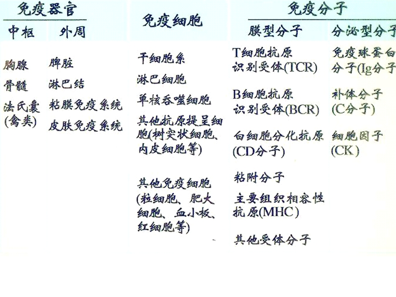 【大学优秀课件】医学免疫学-第二章  免疫组织和器官.pps_第3页