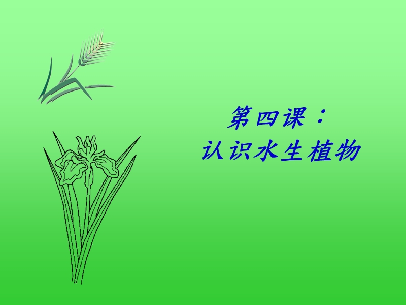 1.4水生植物.ppt_第1页