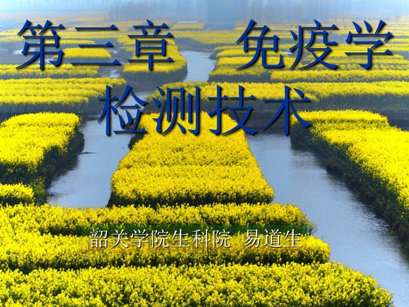 第三章免疫学检测技术.ppt_第1页