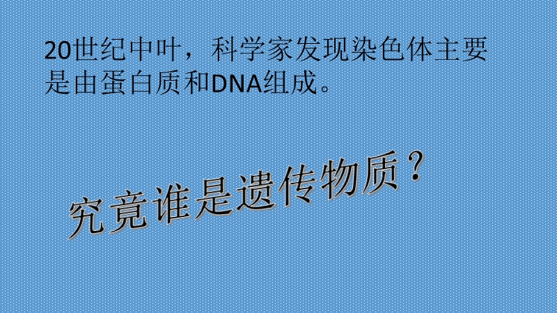 DNA是主要的遗传物质.pptx_第2页