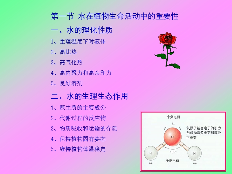 2(水分代谢).ppt_第2页