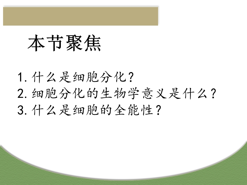 细胞的分化、衰老、凋亡和癌变 细胞的生命历程 吕九娣.ppt_第2页