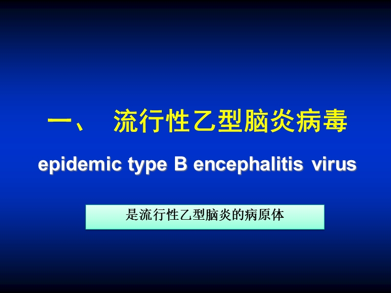 第30,31章虫媒病毒和出血热病毒森林脑炎登革热 精品.ppt_第3页