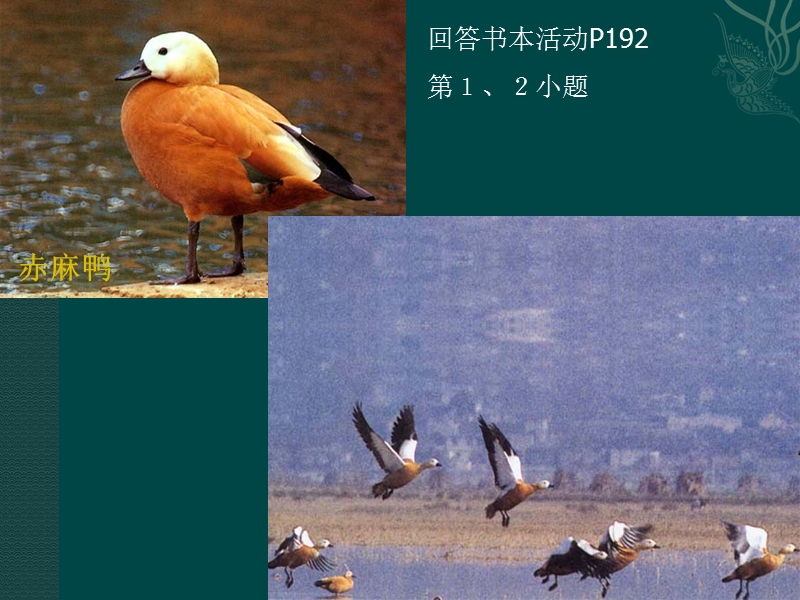 地球上的生物圈 种群和群落.ppt_第3页