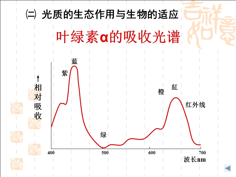 第二章_生物与环境 第四节 生态因子的生态作用及生物的适应.ppt_第2页