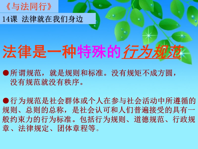 14.1法律是一种特殊的行为规范 社会生活有很多规则.ppt_第3页