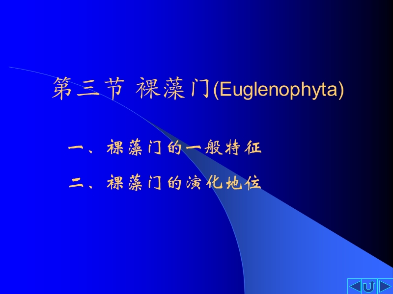 第三节裸藻门（euglenophyta） 20页.ppt_第1页