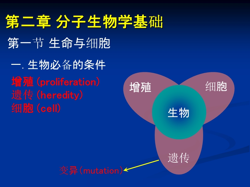 第二章分子生物学基础 第一节 生命与细胞.ppt_第1页