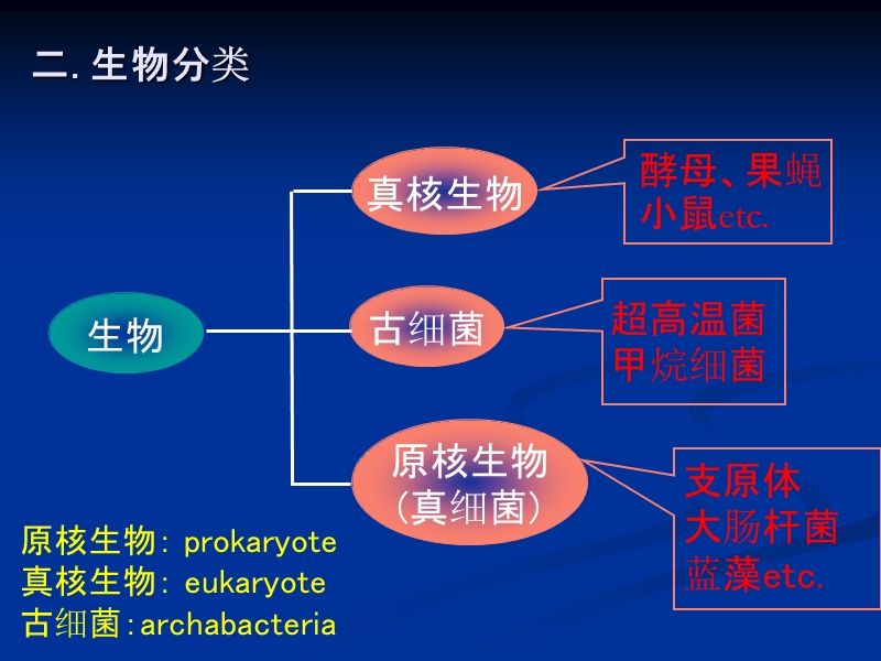 第二章分子生物学基础 第一节 生命与细胞.ppt_第2页