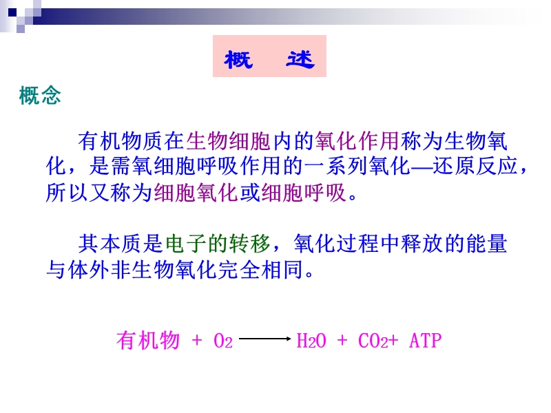 第六章生物氧化 23p.ppt_第2页