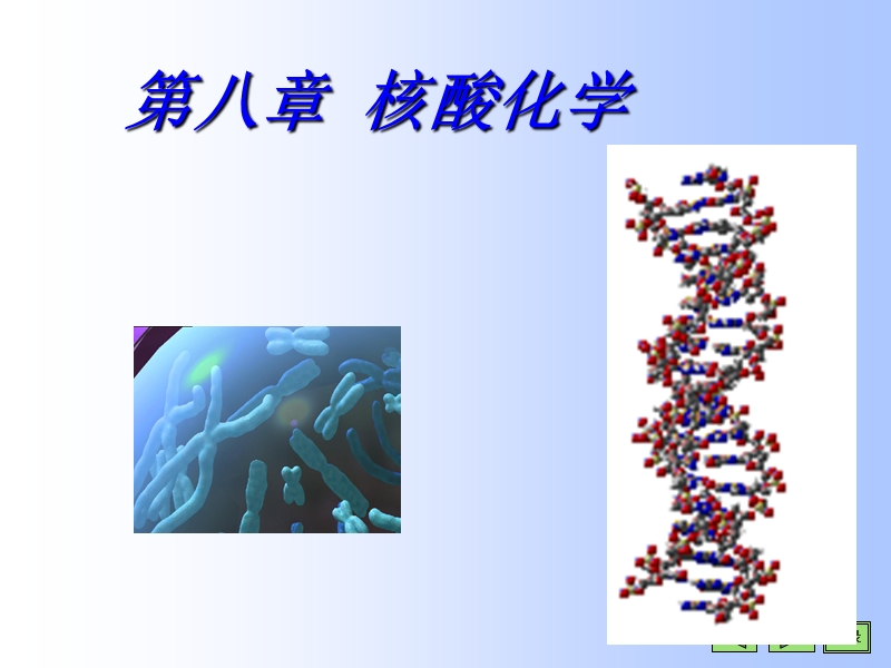 08-3-核酸的研究方法 第八章 核酸化学.ppt_第1页