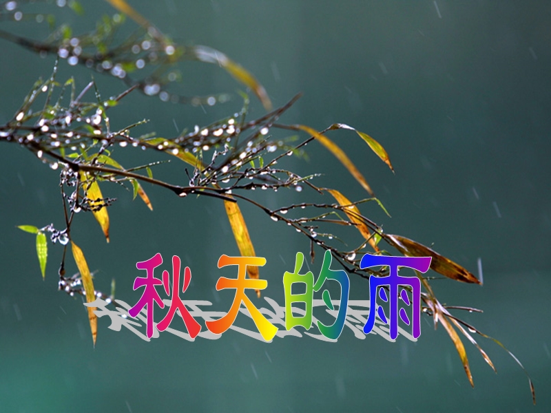 《秋天的雨》课件 课件.ppt_第1页