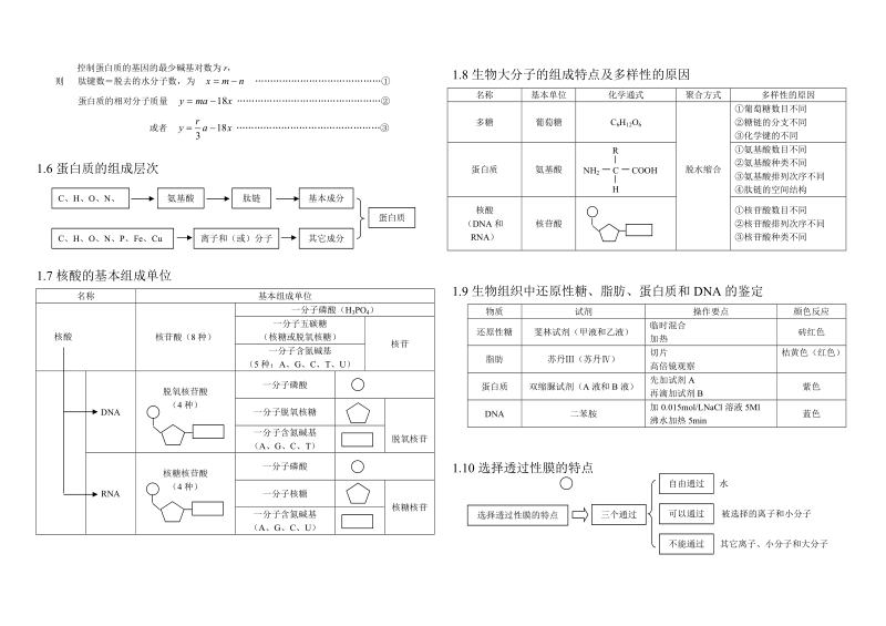 【【生物】】知识点总结8.20.doc_第2页