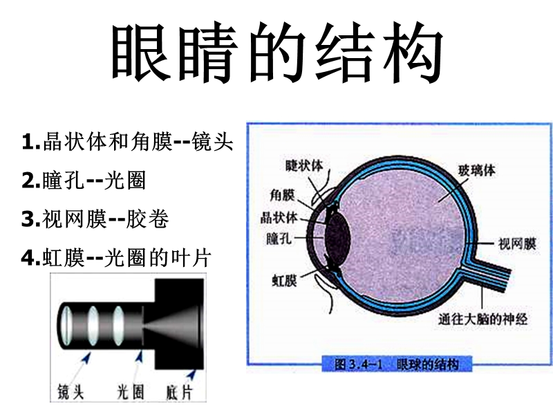 八年级物理眼睛和眼镜4.ppt_第3页