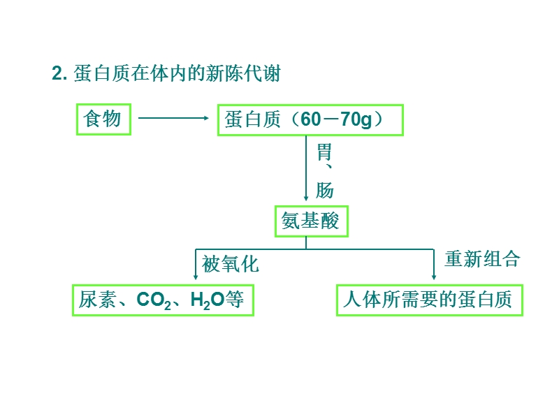 九年级化学人类重要的营养物质.ppt_第3页