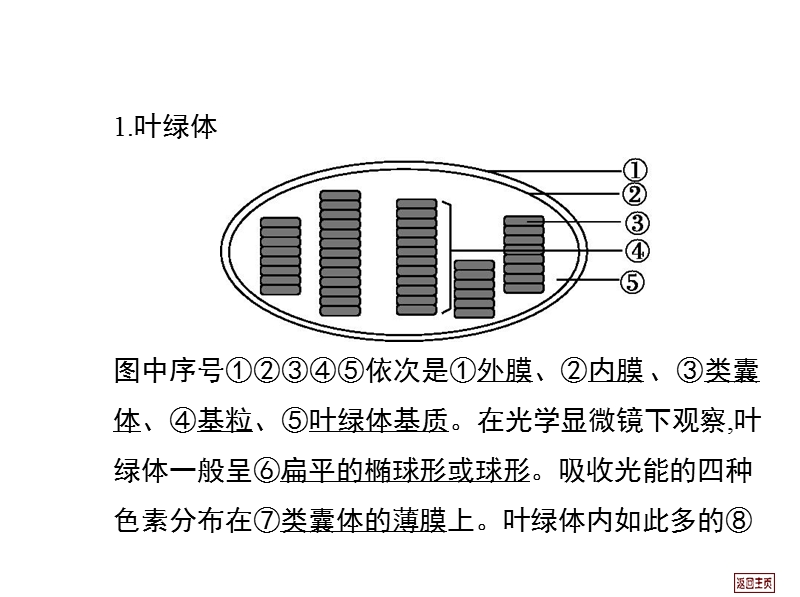 2014届高三一轮复习-3.4-能量之源—光与光合作用.ppt_第2页