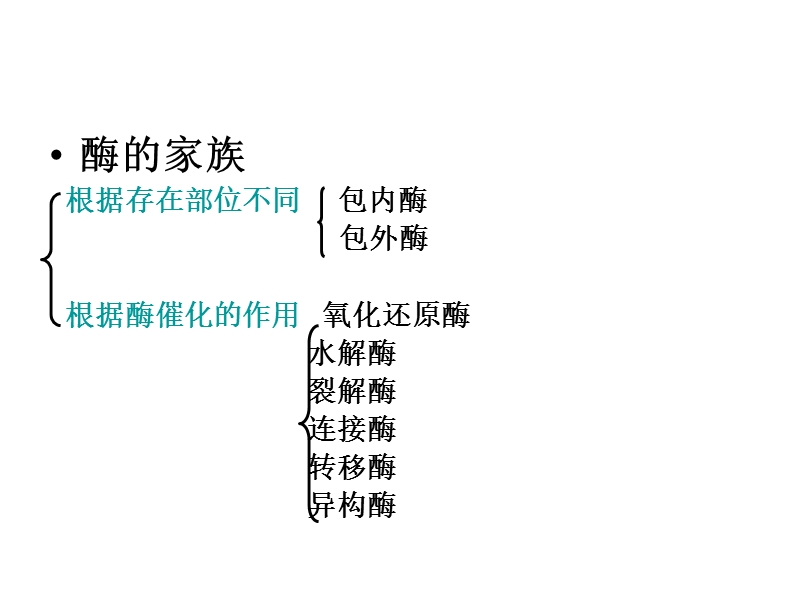 高二生物酶在工业生产中的应用2.ppt_第2页