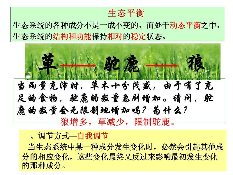 生态系统的自我调节 (1).ppt_第2页