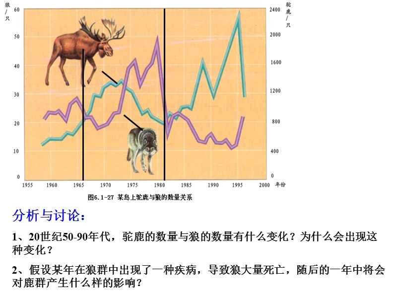 生态系统的自我调节 (1).ppt_第3页