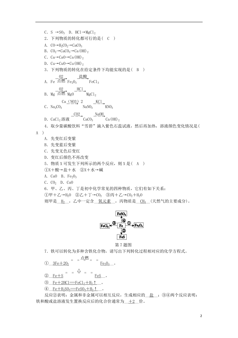 2018年秋九年级科学上册 第2章 物质转化与材料利用 第5节 物质的转化 第1课时 非金属、金属及其化合物的转化练习 （新版）浙教版.doc_第2页