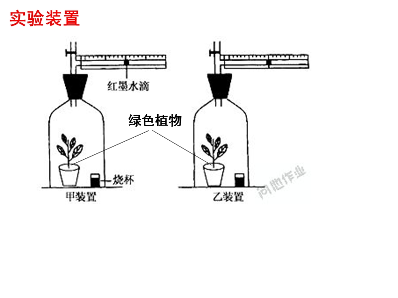 光合作用实验探究.ppt_第3页