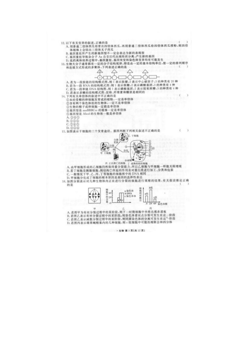 2015-2016学年衡水中学高三四调生物试题及答案.doc_第3页