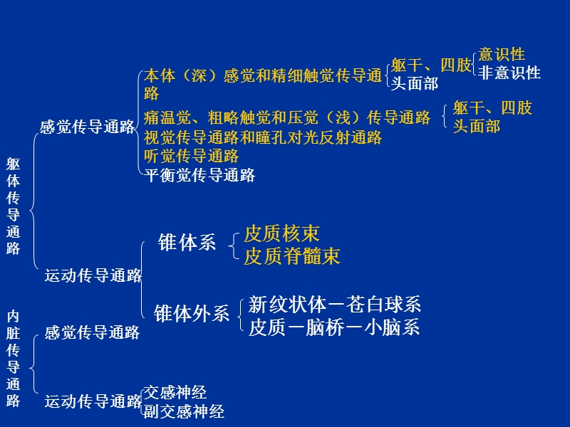 15-1感觉传导通路.ppt_第3页