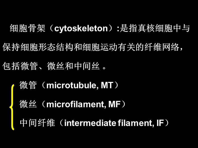 Cell6-七年制-细胞骨架.ppt_第2页