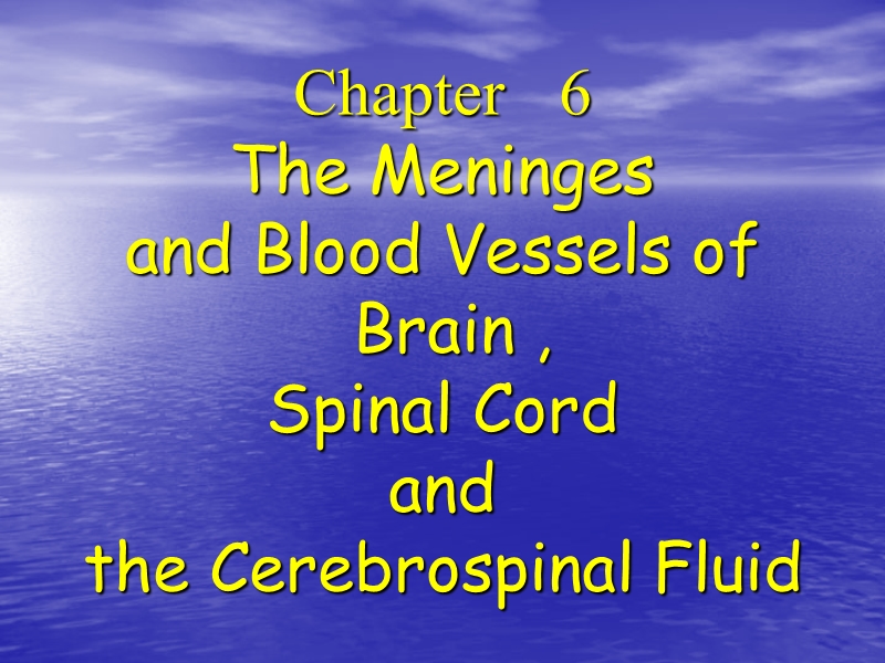 9-meninges ans vessle of brain and spinal cord.ppt_第1页