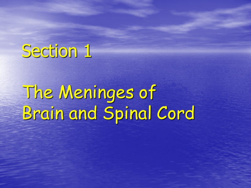 9-meninges ans vessle of brain and spinal cord.ppt_第2页