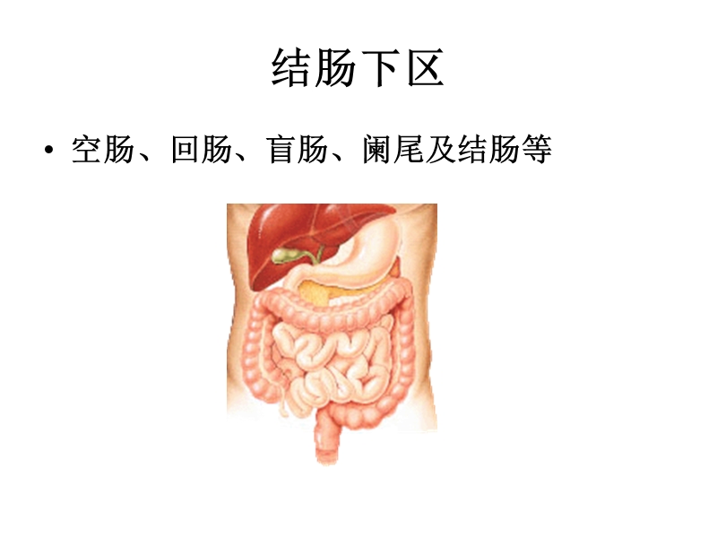 14结肠下区.ppt_第1页