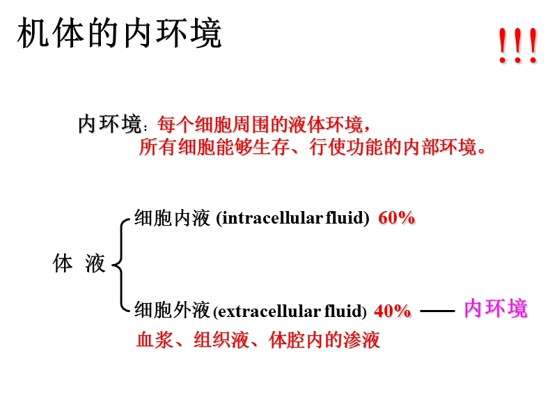 解剖生理学叹号ppt终结版.pptx_第2页